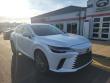 2023 LEXUS RX 350 Luxury SUV