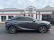 2025 LEXUS RX 350 Premium SUV