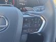 2025 LEXUS RX 350 Premium WG