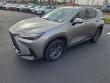2025 LEXUS NX 350 Base SUV