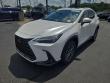 2025 LEXUS NX 350 Base SUV