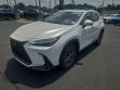 2024 LEXUS NX 350h Base SUV