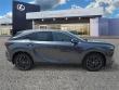 2025 LEXUS RX 350 Premium WG