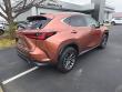2025 LEXUS NX 350 Premium SUV