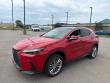 2024 LEXUS NX 350h Luxury SUV