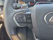 2025 LEXUS RX 350 Premium SUV