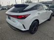 2025 LEXUS RX 350 Premium WG