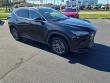 2025 LEXUS NX 350 Base SUV