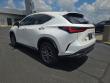 2025 LEXUS NX 350 Base SUV