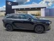 2025 LEXUS RX 350 Premium WG