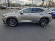 2025 LEXUS NX 350 Base SUV