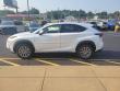 2021 LEXUS NX 300 Base SUV