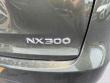 2021 LEXUS NX 300 Base SUV