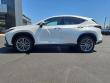 2023 LEXUS NX 350h Luxury SUV