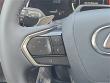 2025 LEXUS RX 350 Premium Plus WG