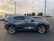 2024 LEXUS NX 350h Luxury SUV