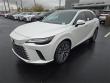 2025 LEXUS RX 350h Premium Plus SUV