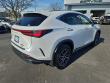 2024 LEXUS NX 350h Base SUV