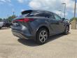 2025 LEXUS RX 350 Premium WG
