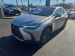 2026 LEXUS NX 450h+ Luxury SUV