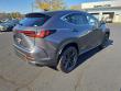 2026 LEXUS NX 450h+ Luxury WG