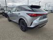 2025 LEXUS RX 350 Premium WG