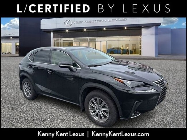 2021 LEXUS NX 300 Base SUV