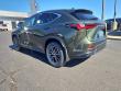 2026 LEXUS NX 350 Base Sport Utility