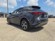 2025 LEXUS RX 350 Premium WG