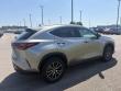2024 LEXUS NX 350 Premium SUV