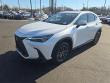 2024 LEXUS NX 350h Base SUV