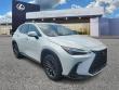 2024 LEXUS NX 350h Base SUV