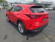 2024 LEXUS NX 350h Luxury SUV