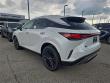 2025 LEXUS RX 350 Premium WG