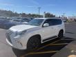 2023 LEXUS GX 460 SUV