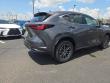 2026 LEXUS NX 350 Base Sport Utility