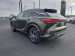 2023 LEXUS RX 350 Premium Plus SUV