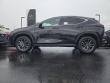 2026 LEXUS NX 350 Base Sport Utility