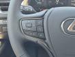 2026 LEXUS UX 300h F SPORT Design Sport Utility