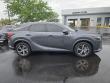 2025 LEXUS RX 350 Premium SUV