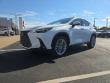 2026 LEXUS NX 350 Luxury Sport Utility
