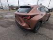 2025 LEXUS NX 350 Base SUV
