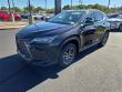 2025 LEXUS NX 350 Base SUV
