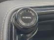 2025 LEXUS NX 350 Base SUV