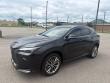 2022 LEXUS NX 350h Luxury SUV