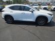 2026 LEXUS NX 350 Base Sport Utility