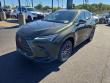 2026 LEXUS NX 350 Base Sport Utility