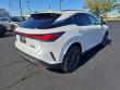 2025 LEXUS RX 350 Premium WG
