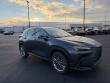 2024 LEXUS NX 350h Luxury SUV