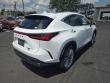 2026 LEXUS NX 350 Luxury SUV